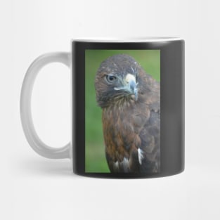 Steely Eye Stare Mug